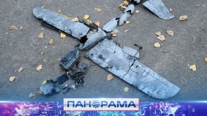 ❗️ На страже мирной жизни: полицейские в Селидово сбили дрон противника!