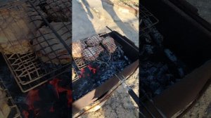 Готовим вкусный шашлык май 2025, отдых на природе май 2025 год, сад и огород Краснодарский край.mp4