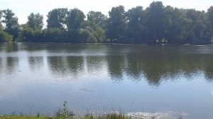20240715 - Обь в районе Заельцовского парка