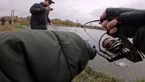 Плехановские пруды. Ловля форели. LifeFisher vs Trout. Рыбалка