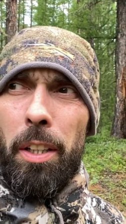 44. Погнали #nature #mountains #hunting #travel #горы #природароссии #охота