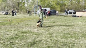 4. выр/пож АЛЛЮСТА НИКАС РУМБА (Рус Инсайт Урсус – Аллюста Никас Ческа)