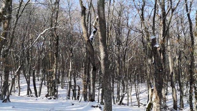 Ангарский перевал, 25.02.2019г. смотреть онлайн