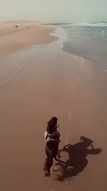 беги беги беги... #пчела #певицапчела #бегибегибеги #лошади #красиво @v-lovemusic #скачки #love смотреть онлайн