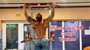 масса набор день 50