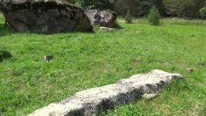 Дольмен. Хамышки