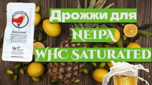 Дрожжи для NEIPA от компании WHC Saturated!Домашнее охмеленное пиво.