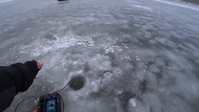 ЛЮДИ ПРОХОДЯТ МИМО СТАИ СУДАКА! НАШËЛ ЛУНКУ С КУЧЕЙ РЫ? смотреть онлайн