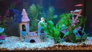 аквариум mijia smart fish tank