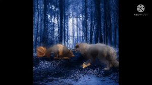 Песня "охота на лисицу" Green Apelsin