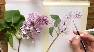 Скетч акварелью ❤️ Рисуем Сирень с натуры 🌿 Watercolor sketching