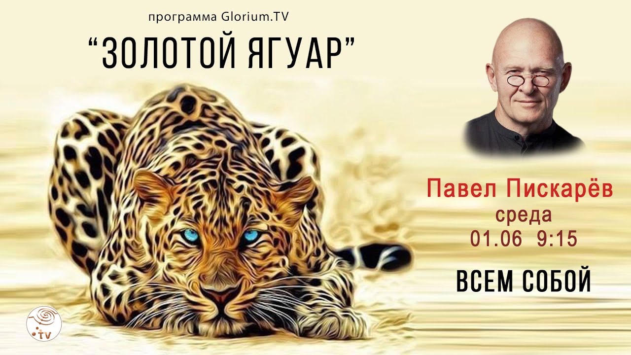 Павел Пискарёв |Золотой Ягуар §03