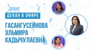 Декан в эфире! Гасангусейнова Эльмира Кадычулаевна.