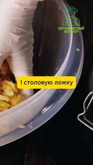 Обеззараживаем семена дома #семена #рассада #какобезз? смотреть онлайн