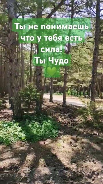 Ты не понимаешь что у тебя есть сила!Ты Чудо💚 смотреть онлайн