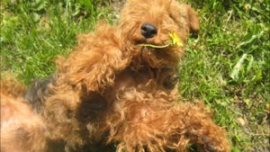 День Друзей 2021