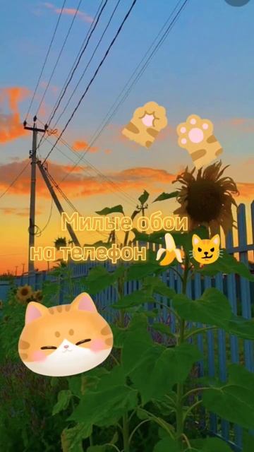 Милые обои на телефон 🍌😼 смотреть онлайн