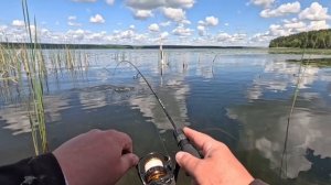 Мормышинг.Воронежское вдх.Активный клев окуня.