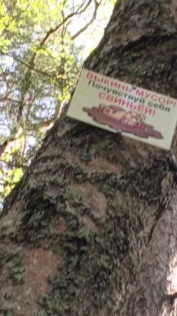 Как почувствовать себя свиньёй?