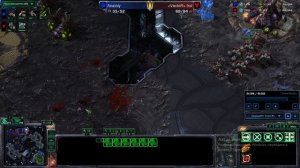 StarCraft2 (2025-2500mmr) Шуба
