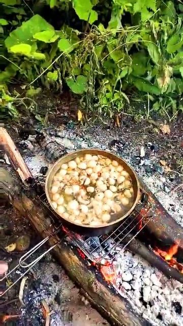 АХ Это Лето нам Было Хорошо #УХА #24часарыбалка #походна смотреть онлайн