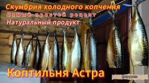 СКУМБРИЯ ХОЛОДНОГО КОПЧЕНИЯ/САМЫЙ ПРОСТОЙ РЕЦЕПТ/КОПТИЛЬНЯ АСТРА/НАТУРАЛЬНЫЙ ПРОДУКТ/ПРОСТО И ВКУСНО