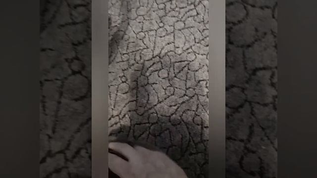 #Котопес#отдых#прикол#пряник#дом#шарик#котсобак# смотреть онлайн