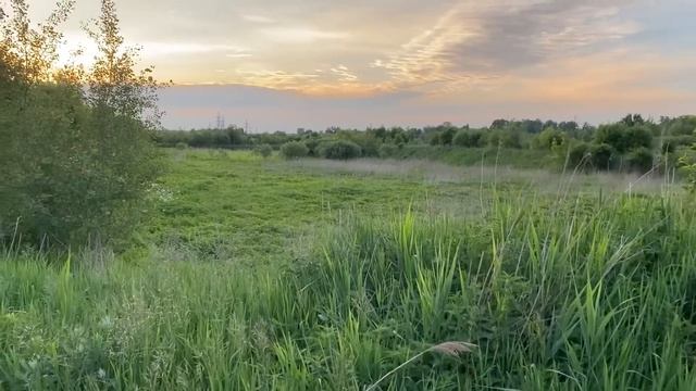ГОВНОДУК ИЛИ ОЧЕНЬ СТРАННЫЙ МОСТ В ПОДМОСКОВЬЕ - Вместо урока истории