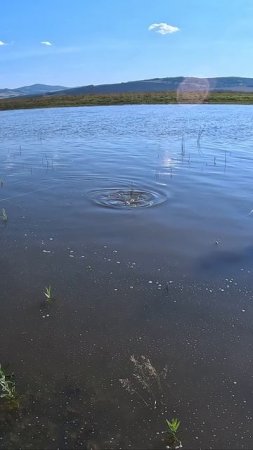 борется за жизнь