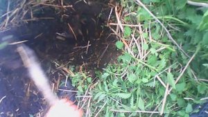 ВЫБИТЫЕ МЕСТА РАЗОЧАРОВЫВАЮТ!!!!!