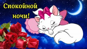СПОКОЙНОЙ НОЧИ💤😴😘. СЛАДКИХ СНОВ!