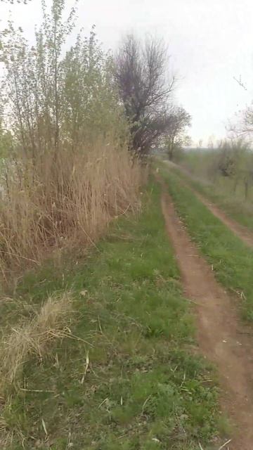 Три Озера! смотреть онлайн