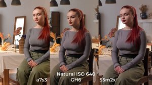 Обзор и сравнение LUMIX S5IIX vs a7s3 vs GH6