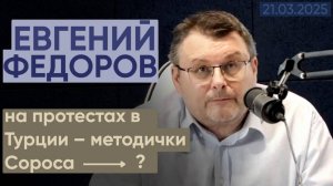 Евгений Федоров: на протестах в Турции – методички Сороса