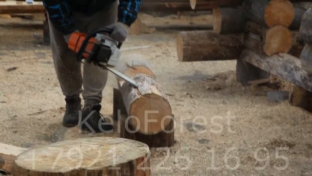 Сухостой. Площадка смотреть онлайн