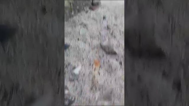 Сел в ТАДЖИКИСТАНЕ. смотреть онлайн