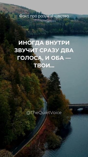 Иногда внутри звучит сразу два голоса и оба  твои...