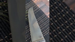 Клинок_на_пчаке_со_светлыми_пятнами
