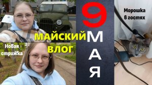 МАЙСКИЙ ВЛОГ | У нас новая гостья! Новая стрижка. Выставка военной техники