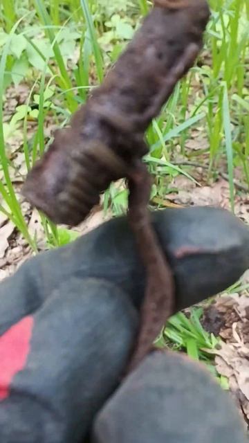 Криминальные находки в старом лесу металлоискателем # смотреть онлайн