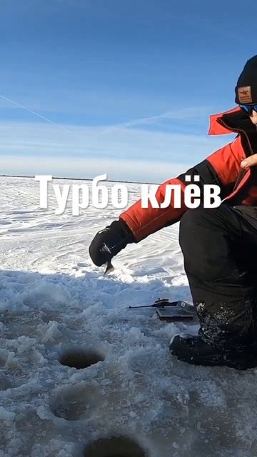 ТУРБО КЛЁВ. #рыбалка смотреть онлайн