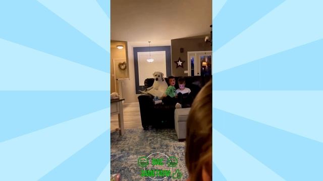 best coub video / cube compilation / funny videos / Смешные видео приколы/ Coub 18