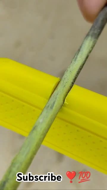 easy💯Обязательно запомни эту хитрость! Как можно легко смотреть онлайн