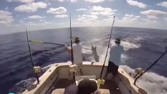 Приколы. Неуклюжие рыбаки. смотреть онлайн