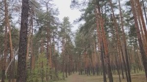 Встреча в кабинете директора. Идём на встречу с руководством!