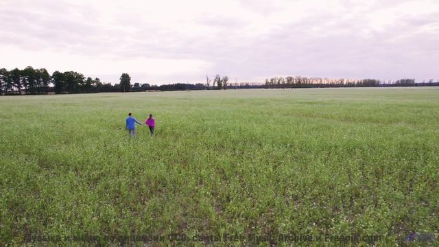 Видео, генерируемое ИИ в реальном времени - технологии поражают! - Black Afghan -- Yellow Omm -- Unn