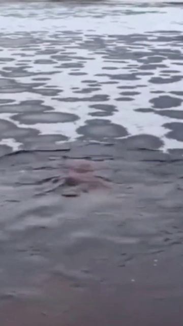 Как холодное озеро помогло мне сжечь 40 кг. Секрет, о ко? смотреть онлайн