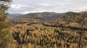 Золотая осень#nature #fishing #hunting#mountains