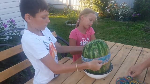 АРбуз ЧЕЛЛЕНДЖ взрываем арбуз резинками / попытка номер one / watermelon challenge смотреть онлайн