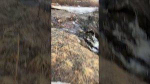 Паркур